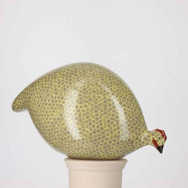 Pintade Gris moucheté jaune – Image 3