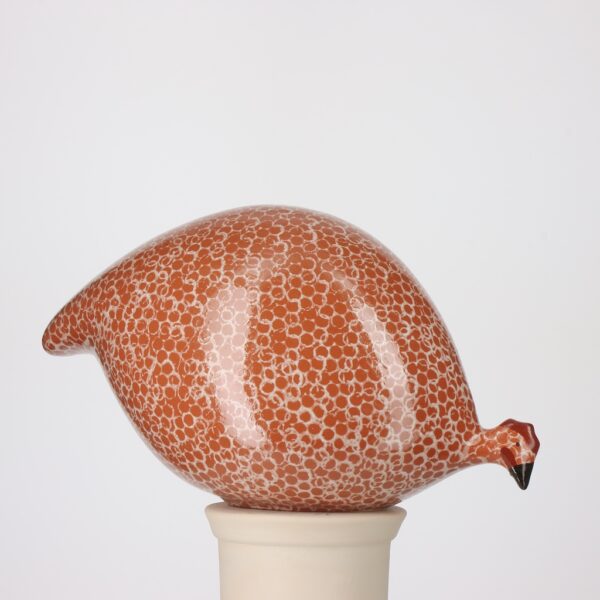 Pintade Rouge moucheté Blanc – Image 3