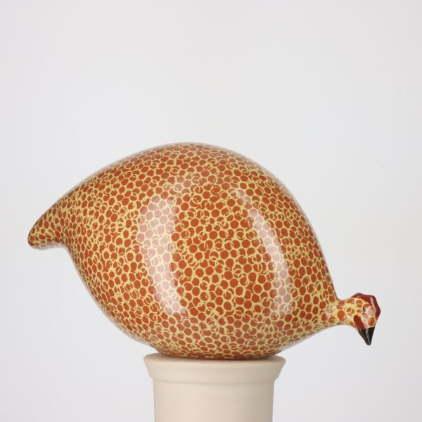 Pintade Rouge moucheté Jaune – Image 3