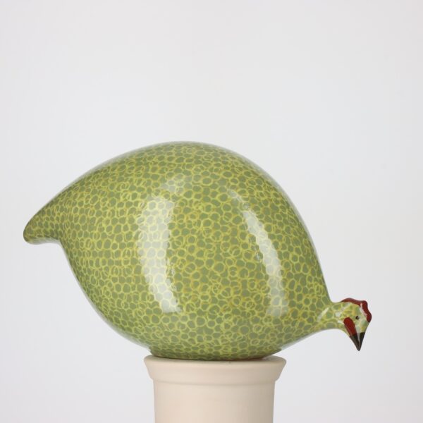 Pintade Vert moucheté Jaune – Image 3