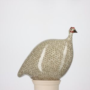 Pintade moyen modèle 2e choix Gris moucheté Blanc n°436