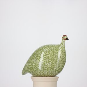 Pintade petit modèle 2e choix Vert moucheté Blanc n°490