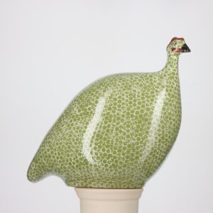 Pintade grand modèle 2e choix Vert moucheté Blanc n°504