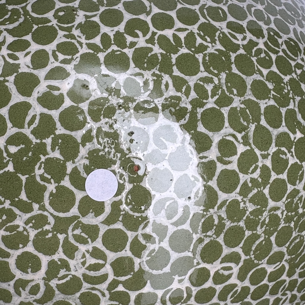 Pintade grand modèle 2e choix Vert moucheté Blanc n°504 – Image 2