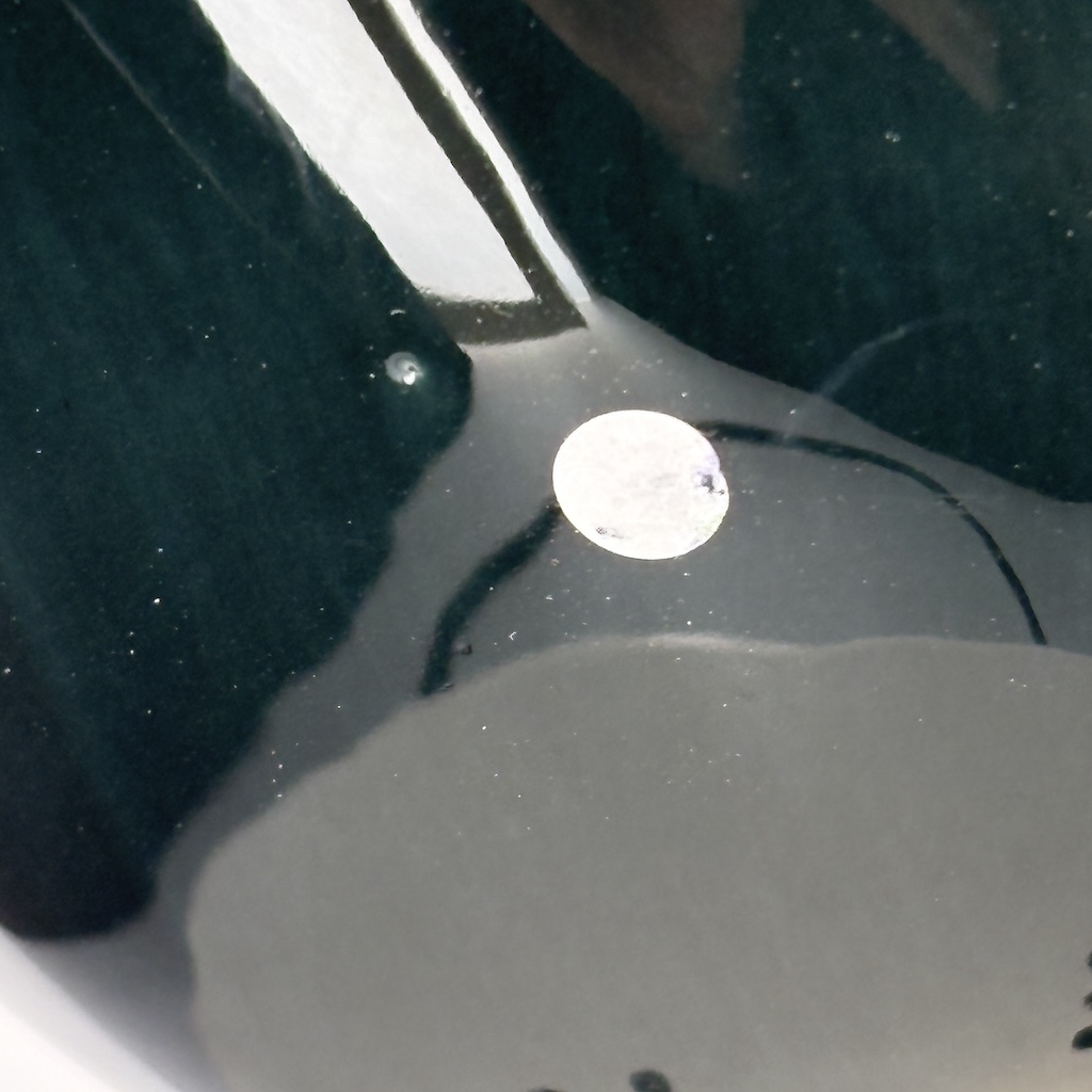 Pintade grand modèle 2e choix Vert n°519 – Image 3