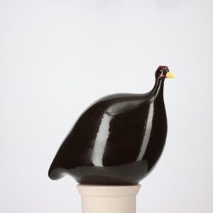 Pintade moyen modèle 2e choix Noir n°672